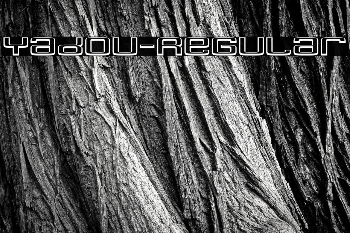 Yadou-Regular Example 2