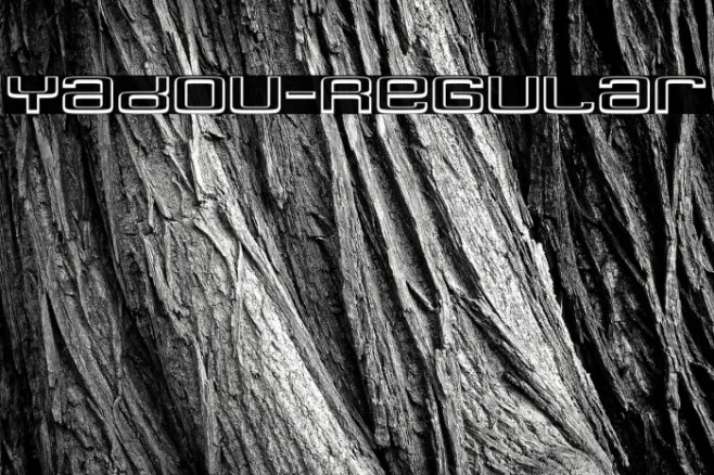 Yadou-Regular Example 2