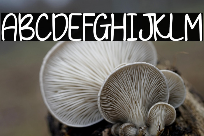 Yagami Light Example 3