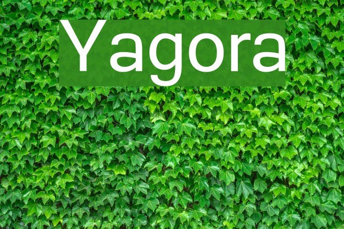 Yagora Font examples
