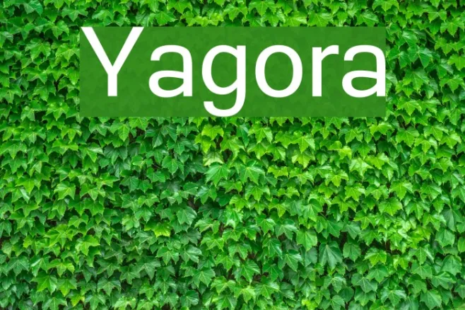 Yagora Example 2