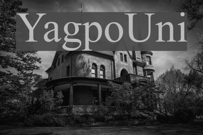 YagpoUni Font examples