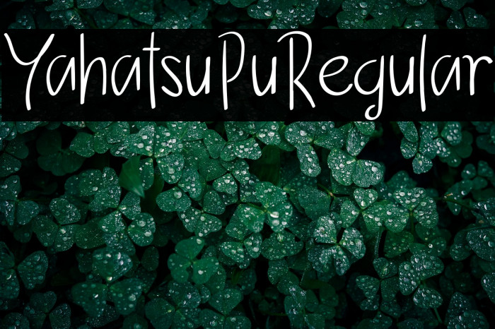 YahatsuPuRegular Example 2