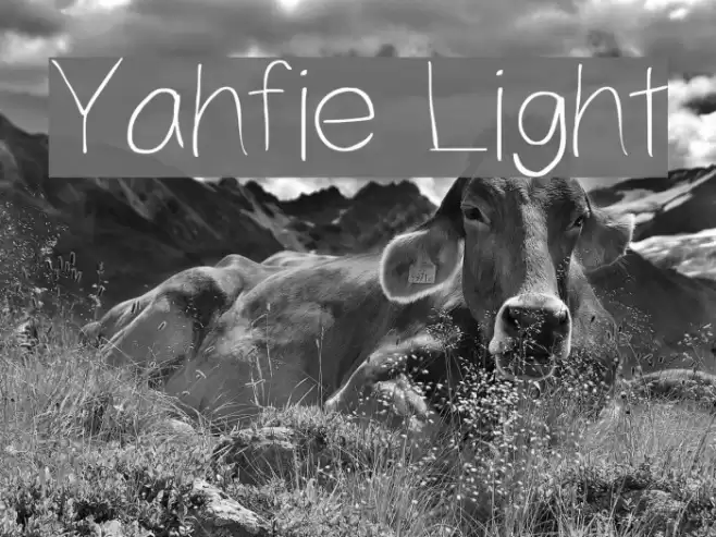Yahfie Light Font examples