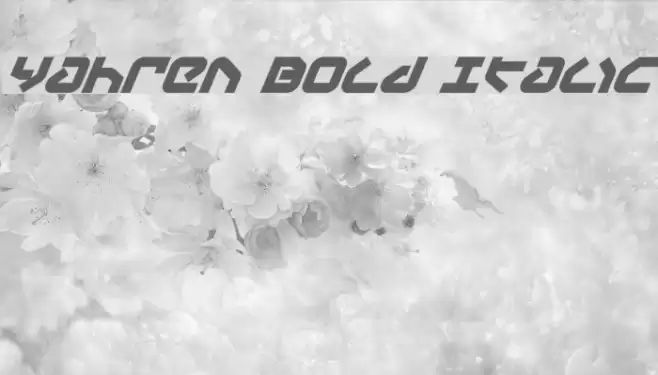 Yahren Bold Italic Font examples