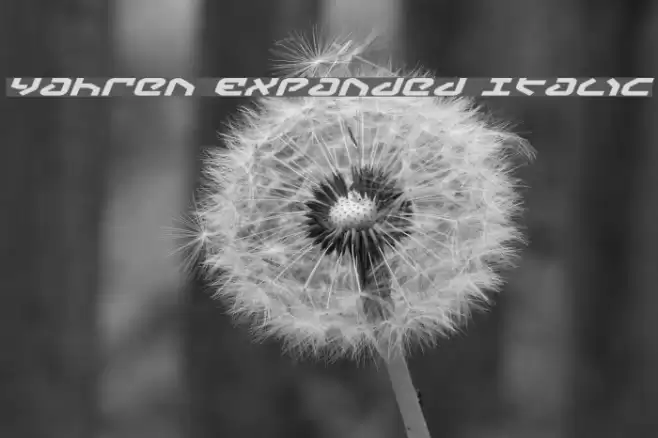 Yahren Expanded Italic フォント examples
