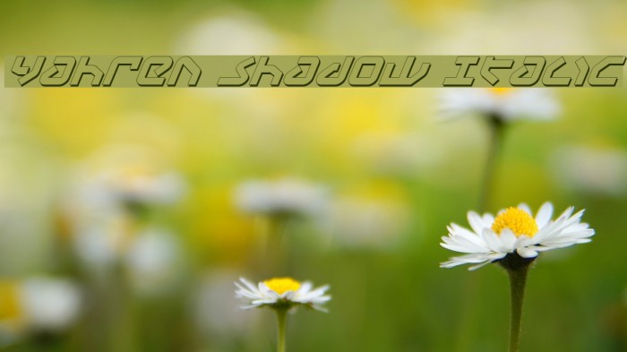 Yahren Shadow Italic Font examples