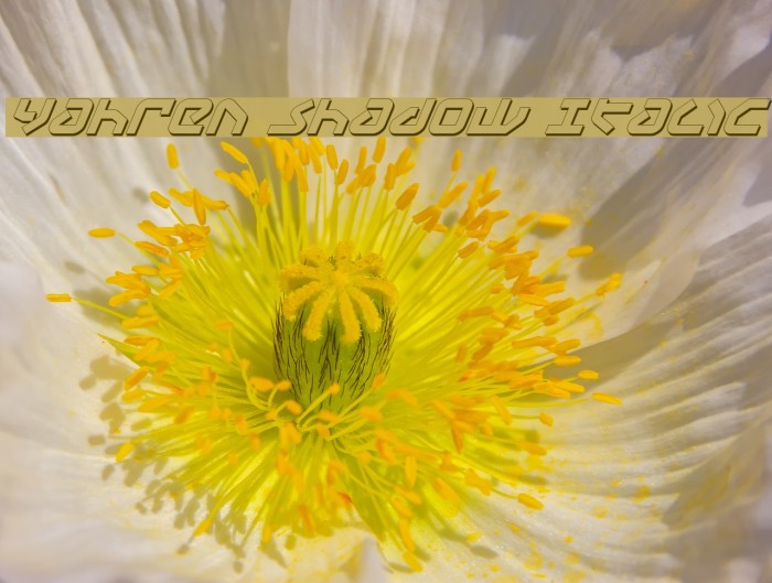 Yahren Shadow Italic Font examples
