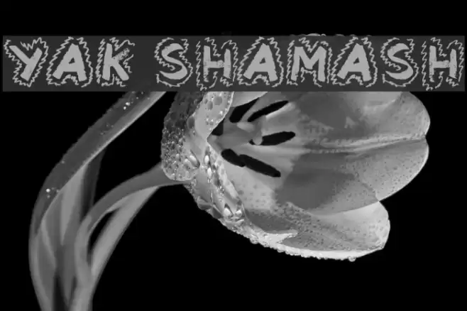 Yak Shamash Font examples