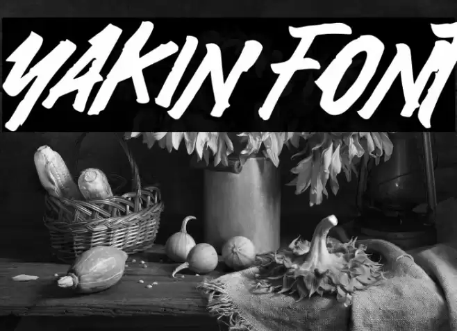 Yakin Caratteri examples