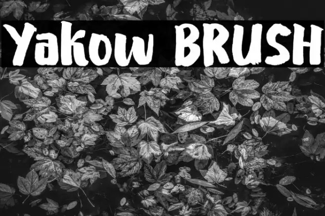 Yakow BRUSH Font examples