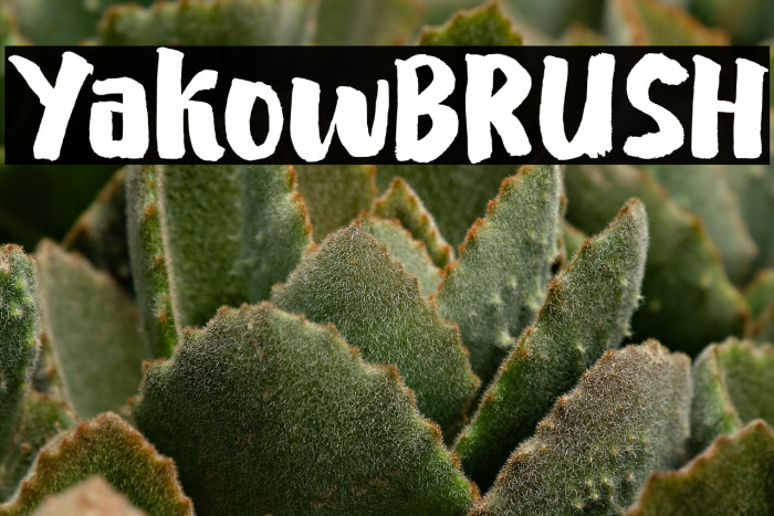 YakowBRUSH Example 3