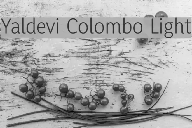 Yaldevi Colombo Light Font examples