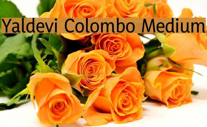 Yaldevi Colombo Medium Font examples