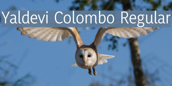 Yaldevi Colombo Regular Font examples