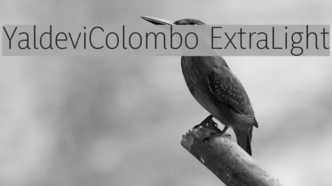 YaldeviColombo ExtraLight Font examples