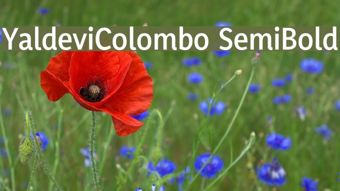 YaldeviColombo SemiBold Example 2