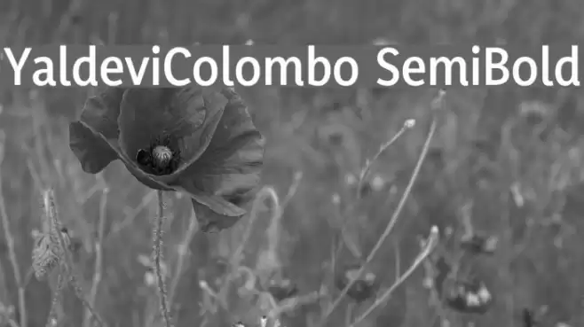 YaldeviColombo SemiBold Font examples