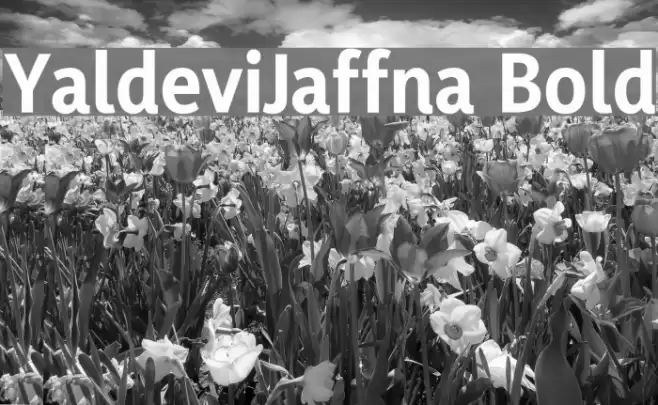 YaldeviJaffna Bold Font examples