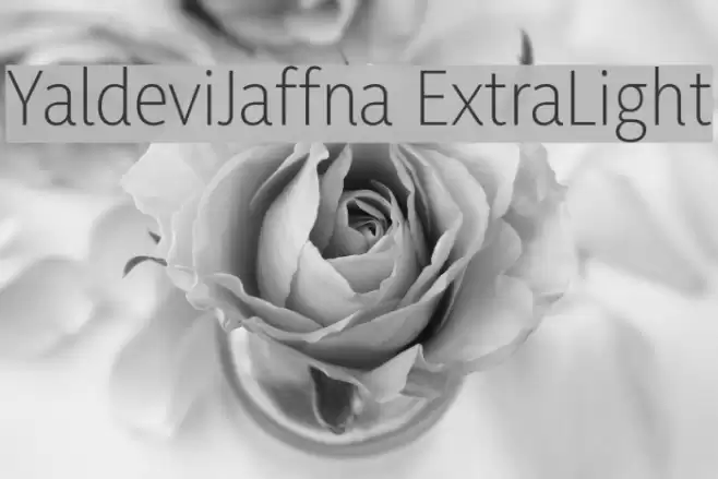 YaldeviJaffna ExtraLight Font examples