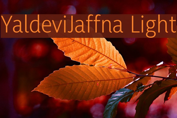 YaldeviJaffna Light Example 1