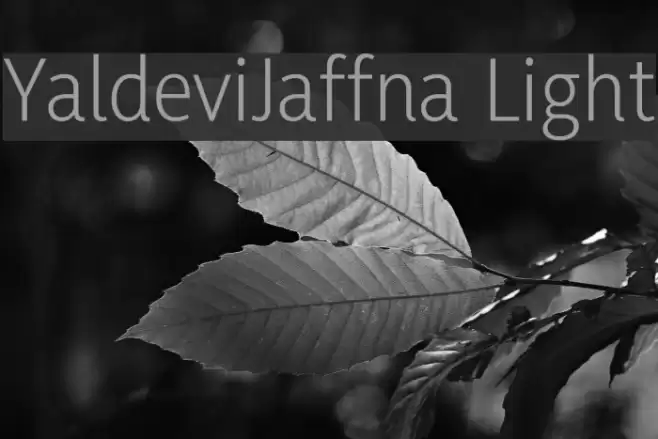 YaldeviJaffna Light Font examples
