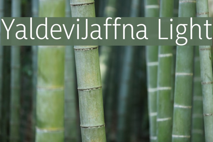 YaldeviJaffna Light Example 3