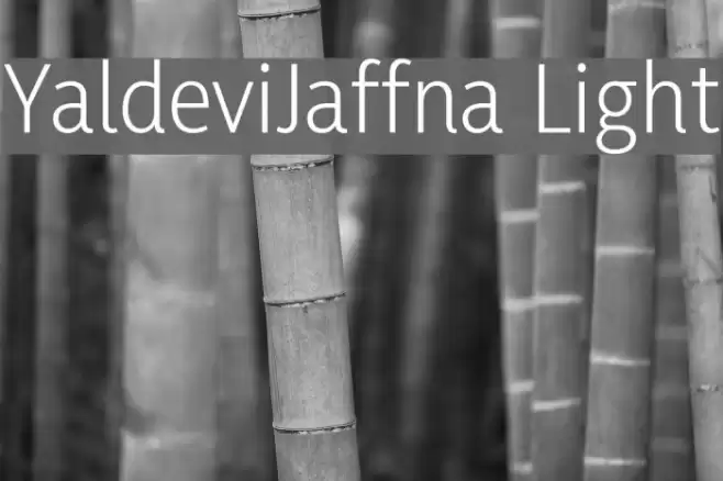 YaldeviJaffna Light Font examples