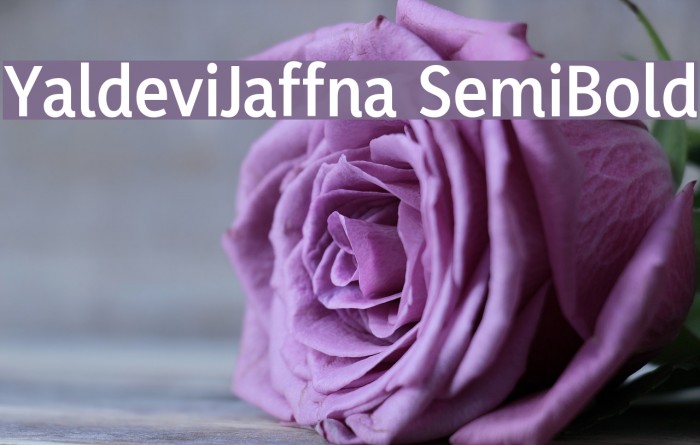 YaldeviJaffna SemiBold Font examples