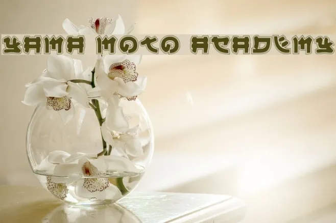 Yama Moto Academy Example 2