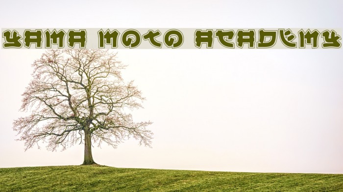 Yama Moto Academy Font examples