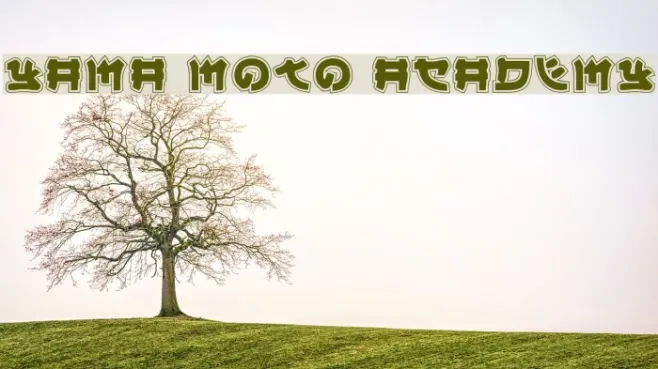 Yama Moto Academy Example 3