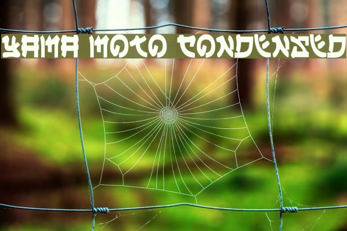 Yama Moto Condensed Schriftart examples