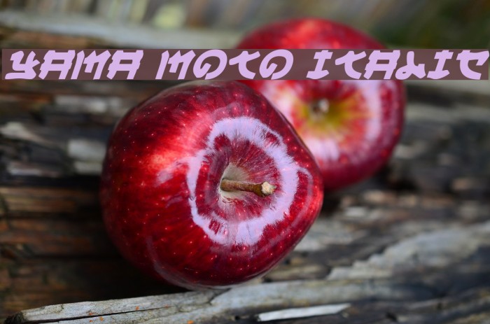 Yama Moto Italic フォント examples