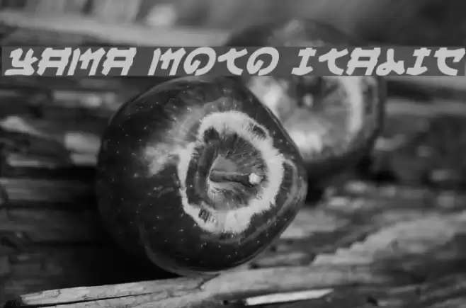 Yama Moto Italic Font examples