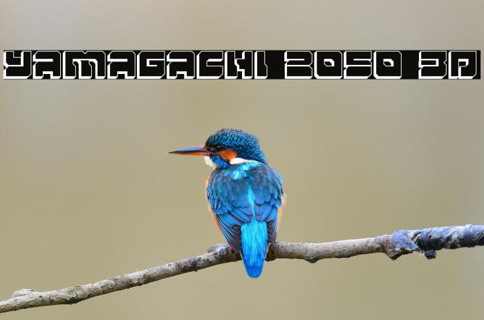 Yamagachi 2050 3D Example 2