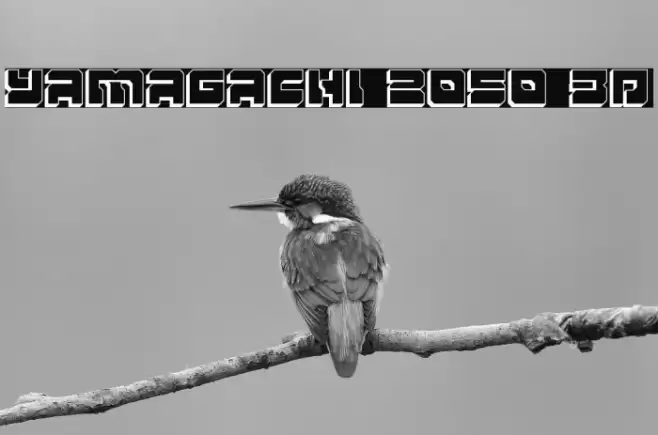 Yamagachi 2050 3D Font examples