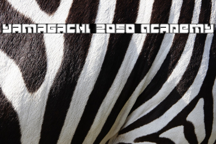 Yamagachi 2050 Academy Example 1