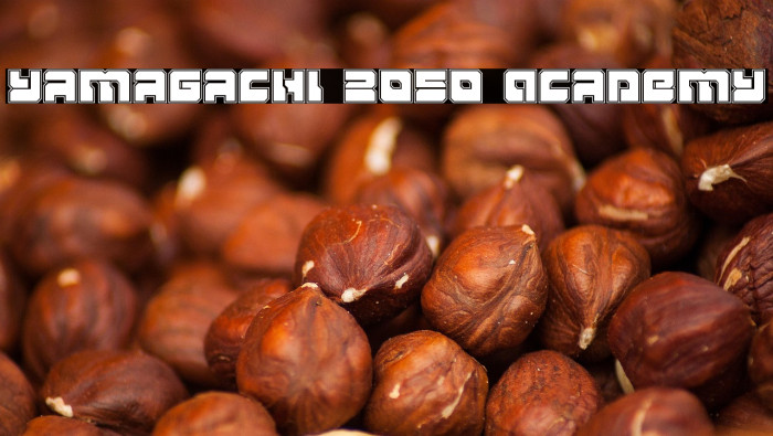 Yamagachi 2050 Academy Example 3