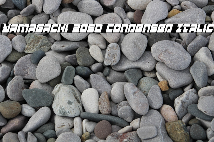 Yamagachi 2050 Condensed Italic Example 3
