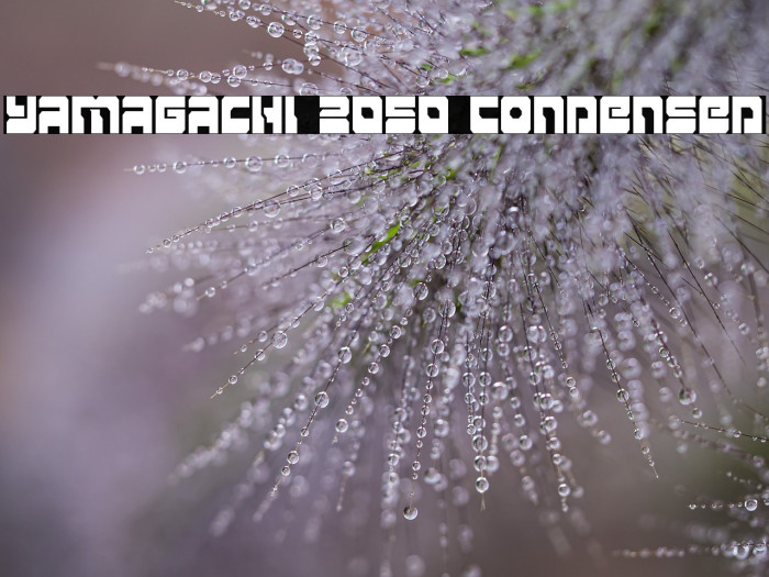 Yamagachi 2050 Condensed Example 1