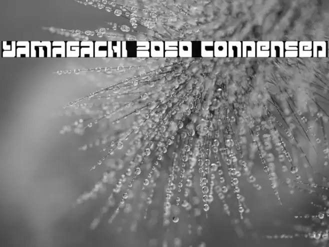 Yamagachi 2050 Condensed Font examples