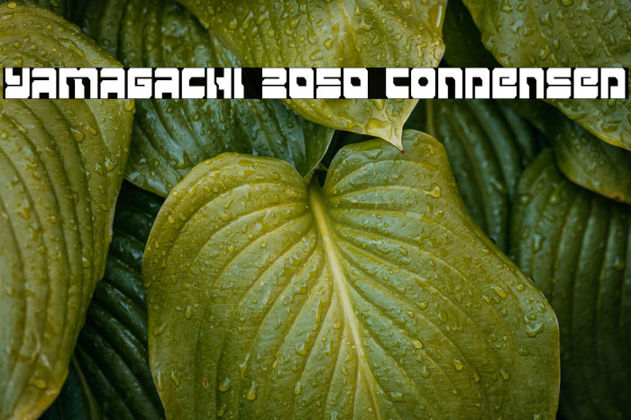 Yamagachi 2050 Condensed Example 3