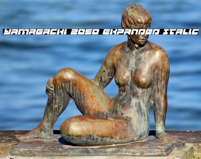 Yamagachi 2050 Expanded Italic Example 2