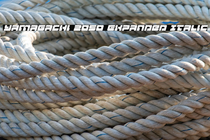 Yamagachi 2050 Expanded Italic Example 3