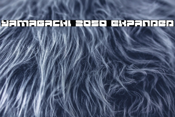 Yamagachi 2050 Expanded Example 1