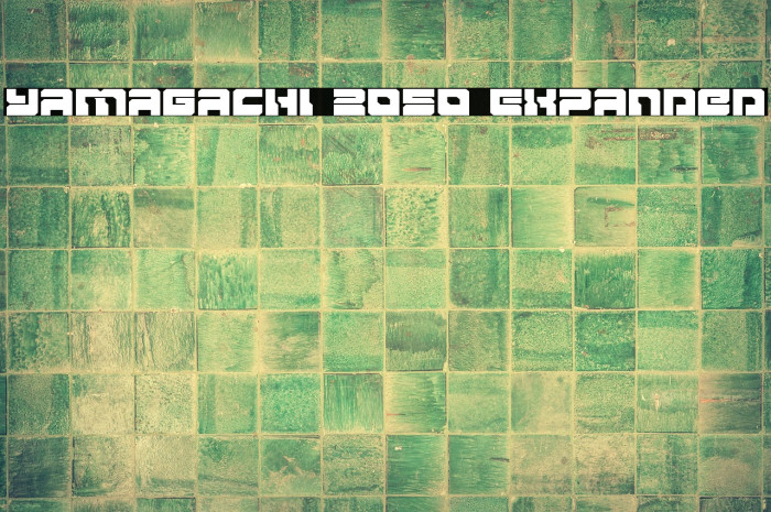 Yamagachi 2050 Expanded Example 2