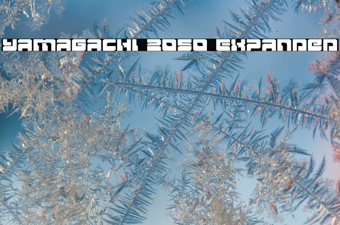 Yamagachi 2050 Expanded Example 3