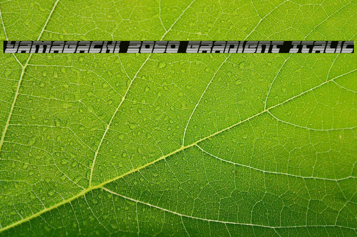 Yamagachi 2050 Gradient Italic Example 3