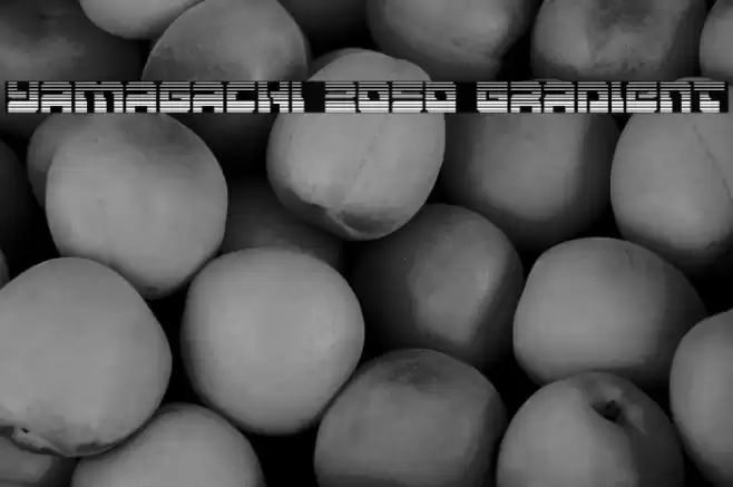 Yamagachi 2050 Gradient Font examples